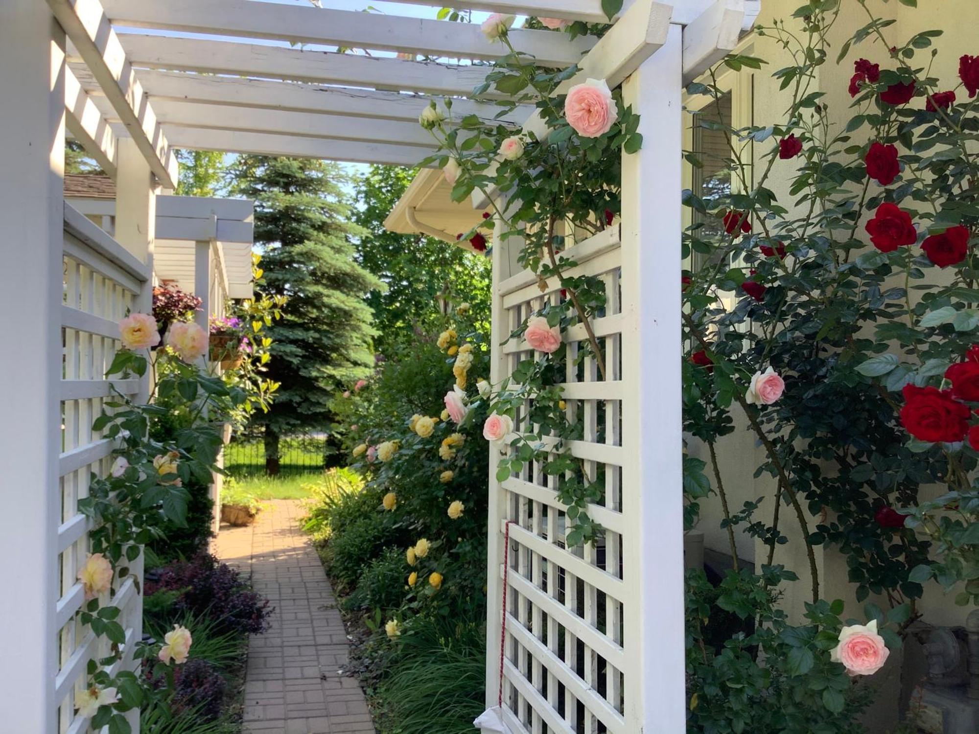 Via Veneto - Old Town Bed & Breakfast Niagara-on-the-Lake Bagian luar foto