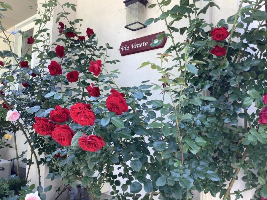 Via Veneto - Old Town Bed & Breakfast Niagara-on-the-Lake Bagian luar foto